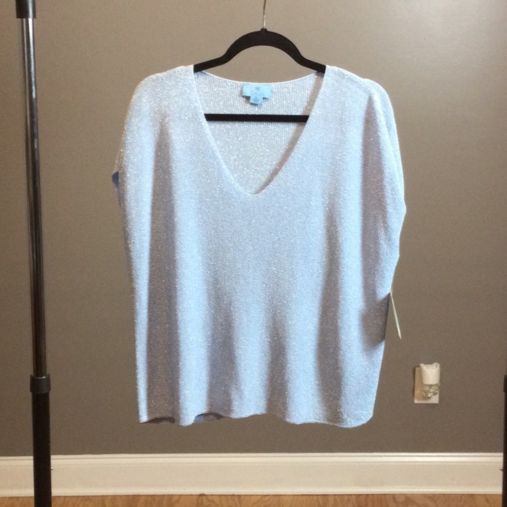 NWT XL CeCe baby blue V-neck sparkly top
